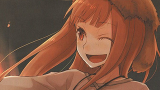 Illustration for article titled Spice & Wolf Vol. 6, 8 to 10 and 12 - Light Novel Series Review: Part 3 - The Detour